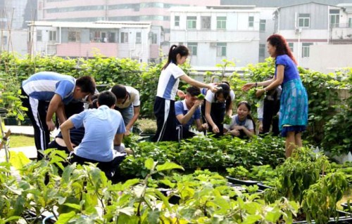 劳动教育：职校生源培育的有效路径