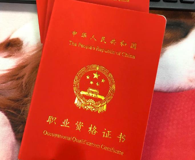职业资格证书.jpg